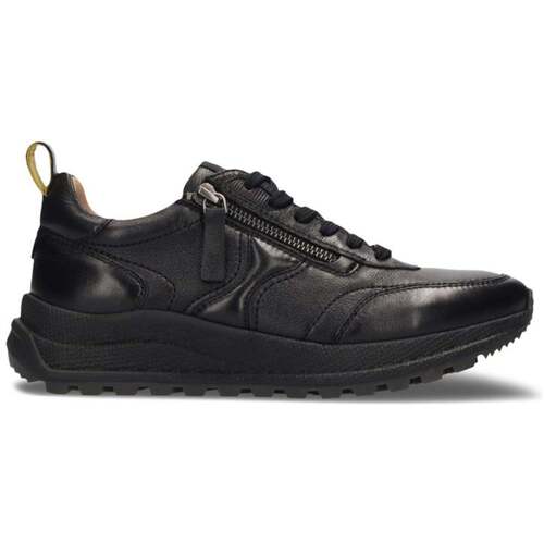 Lage Sneakers Salamander -