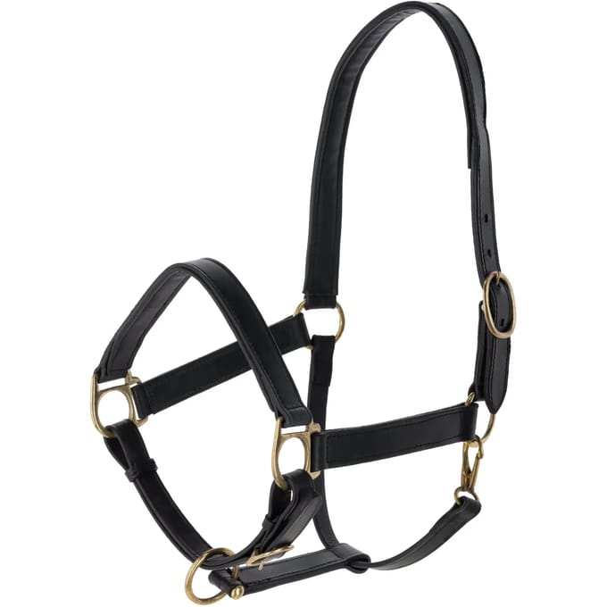 Leren halster voor paarden Kerbl Eco