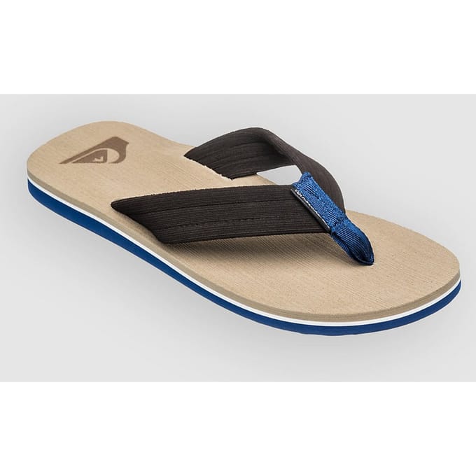Quiksilver Molokai Layback Teenslippers Heren