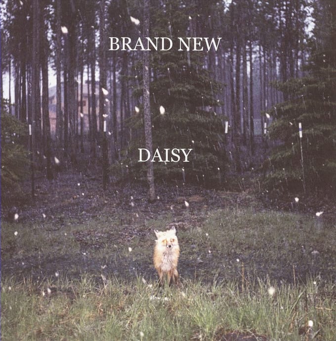 Daisy - Brand New