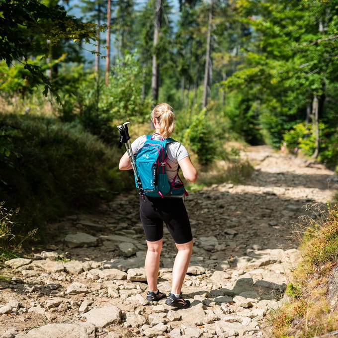 NILS CAMP Caver Rugzak Turquoise 18L - Ideaal voor Dagtochten
