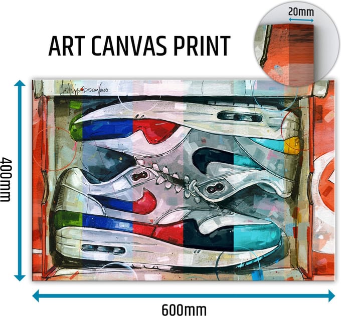 Sneaker canvas shoebox colourway 60x40 cm