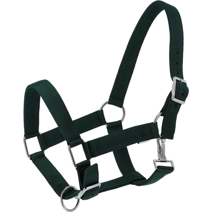 Halster voor paarden Norton Extra