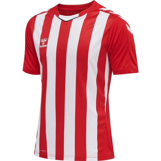 Hummel sportshirt Hmlcore Xk Striped Jersey S/S 211458