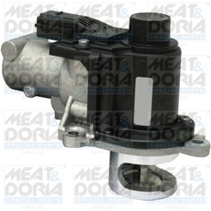 EGR-klep MEAT & DORIA 88213