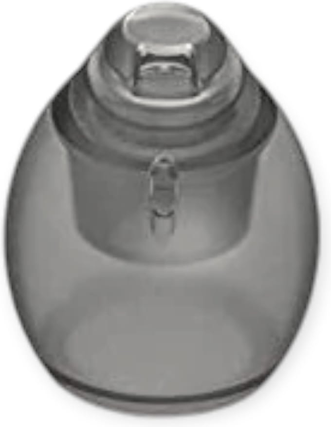 Phonak domes 4.0 S