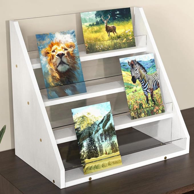 Kaart Display Stand - Fotohouder Organizer - Decoratief Presenteren - Bamboe Acryl Combinatie - 4 Niveaus - Wit