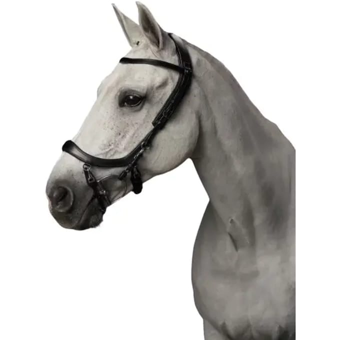 PresTeq Hoofdstel FaySport Zwart - Cob