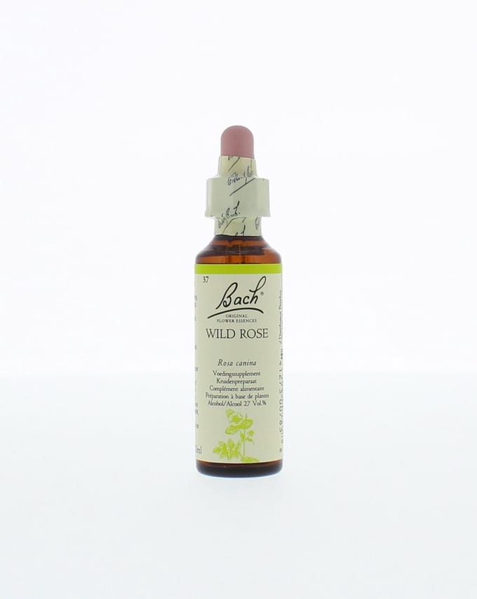 Bach Wild Rose / Hondsroos - 20 ml - Voedingssupplement
