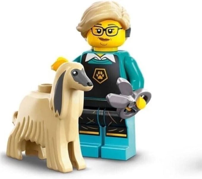 LEGO® Minifiguren Serie 25 - 71045 - Pet Groomer