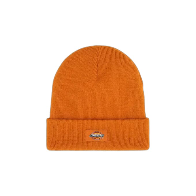 Cap Dickies Gibsland