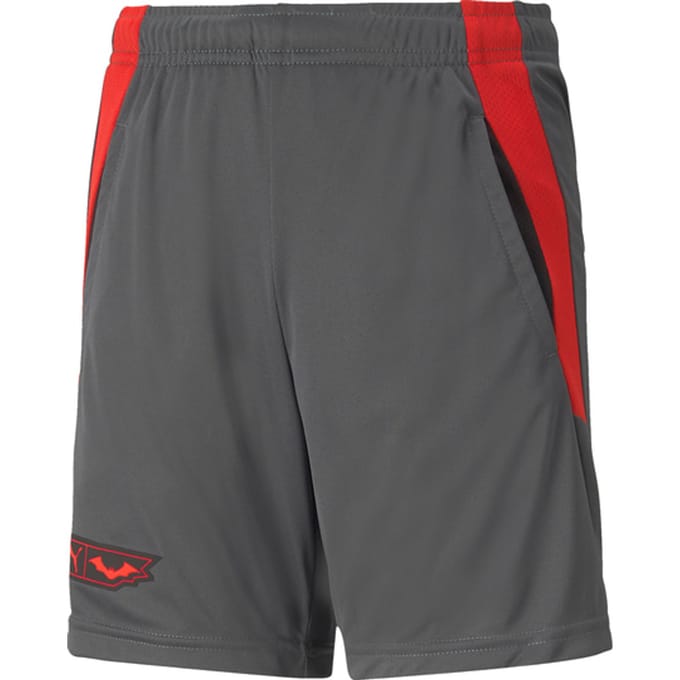 Puma Korte Broek Grijs K004
