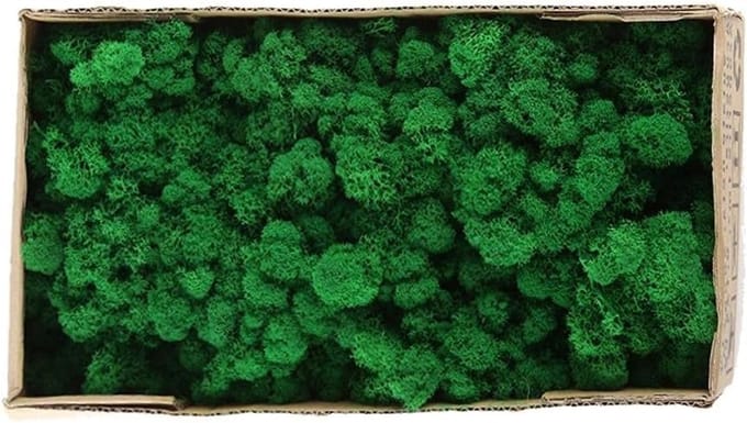 Preserved Mosse voor Interieurdecoratie, Modelbouw, Bloemstukken en Creatieve Projecten