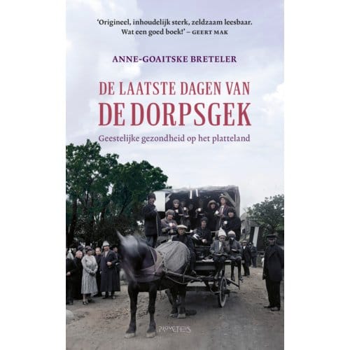 De Laatste Dagen Van De Dorpsgek - Anne-Goaitske Breteler
