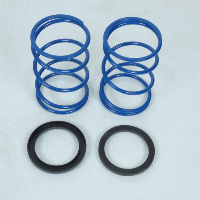 Kit Variateur complet Polini pour scooter Gilera 50 Easy Moving 241.672.1 Neuf