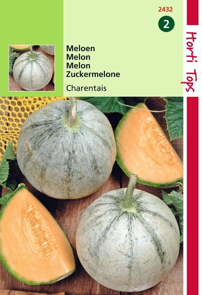 2 stuks - Hortitops - Meloenen Charentais