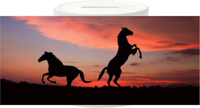 Spaarpot - Horses Sunset