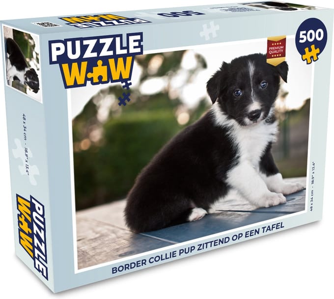 Puzzel Border collie pup zittend op een tafel - Legpuzzel - Puzzel 500 stukjes