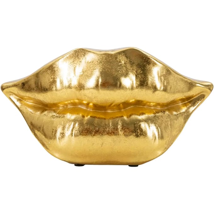 Vaas Mauro Ferretti Mouth Lip