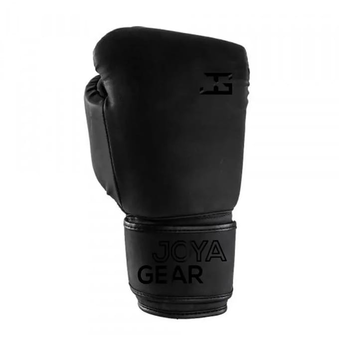 Kickboks handschoenen Joyagear Max