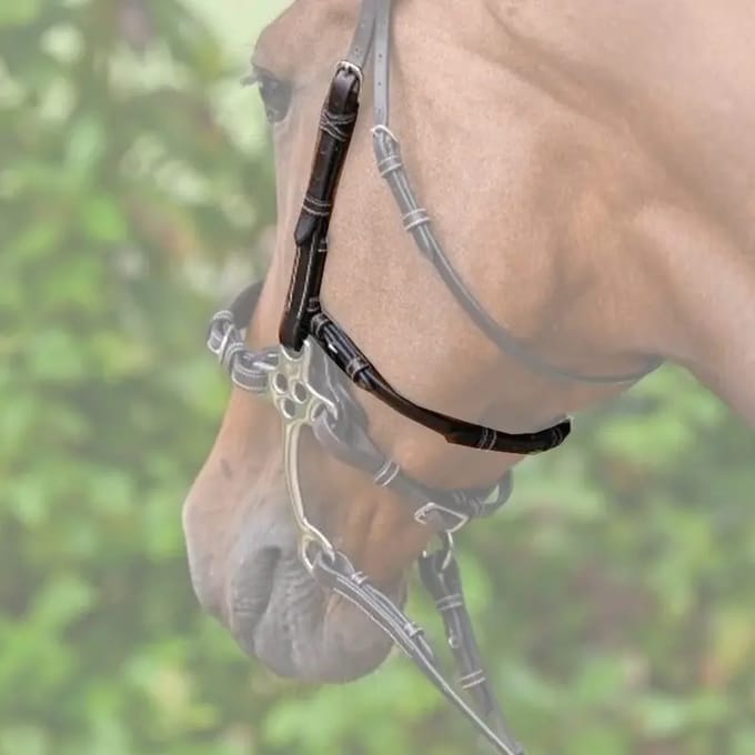 Hackamore voor paard Jump'In Week