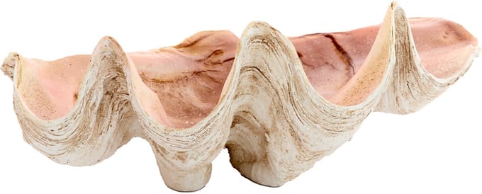 Light&living Ornament 41x25x17 cm SHELL taupe+koraal