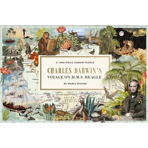 Charles Darwin's Voyage On H.M.S. Beagle - Maria Rivans