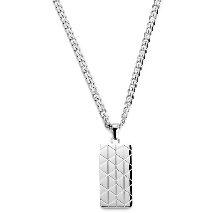 Icarus Brayden Stalen Dogtagketting