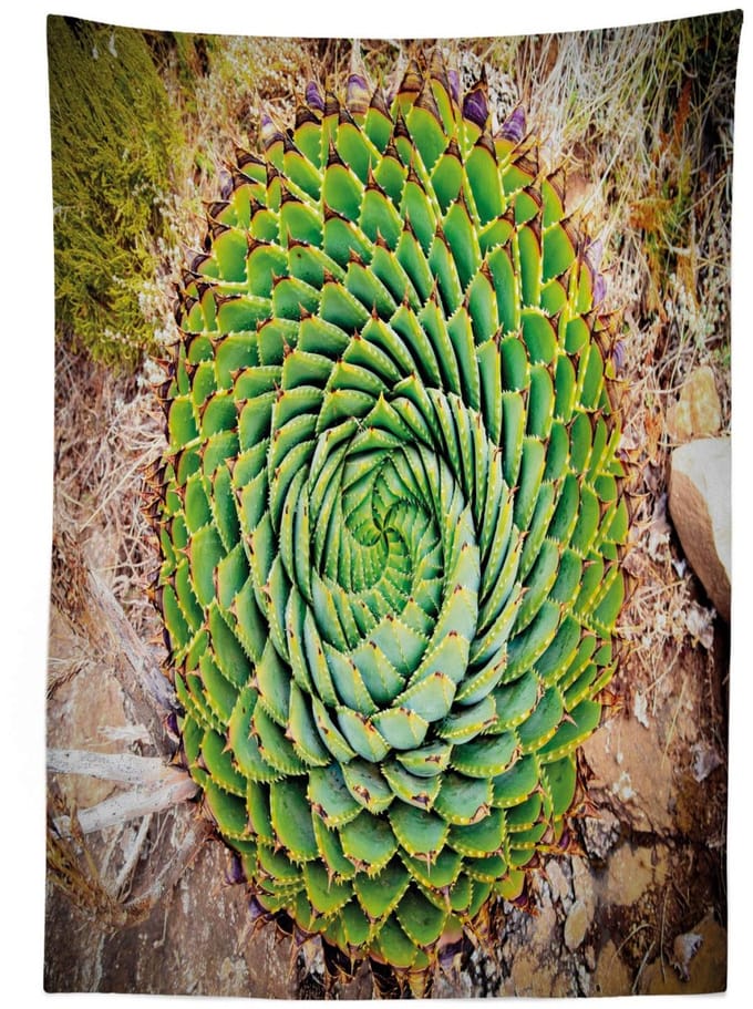 ABAKUHAUS Tafelkleed – Aloë polyphylla vera – 140x240 cm – multicolor