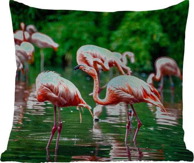 Tuinkussen - Flamingo - Tropisch - Vogel - Water - Roze - 40x40 cm - Weerbestendig