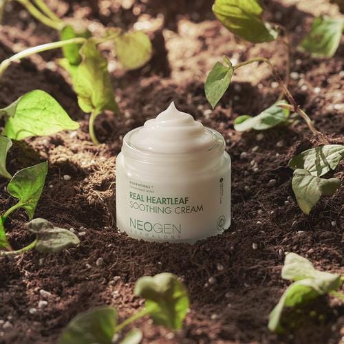 NEOGEN Crème Apaisante Real Heartleaf 80g brown