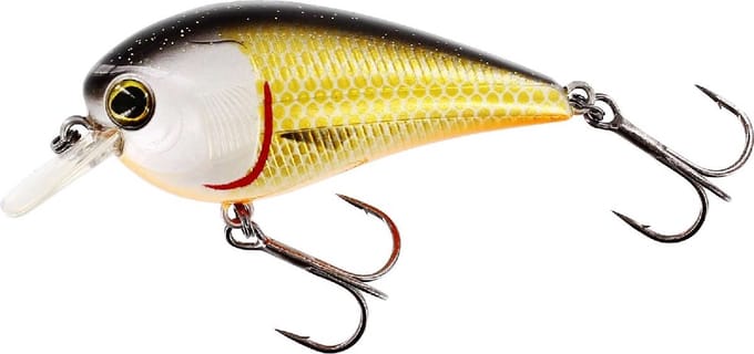 Westin Bassbite 2.5 Squarebill 7cm 16g Floating - Kleur : Official Roach