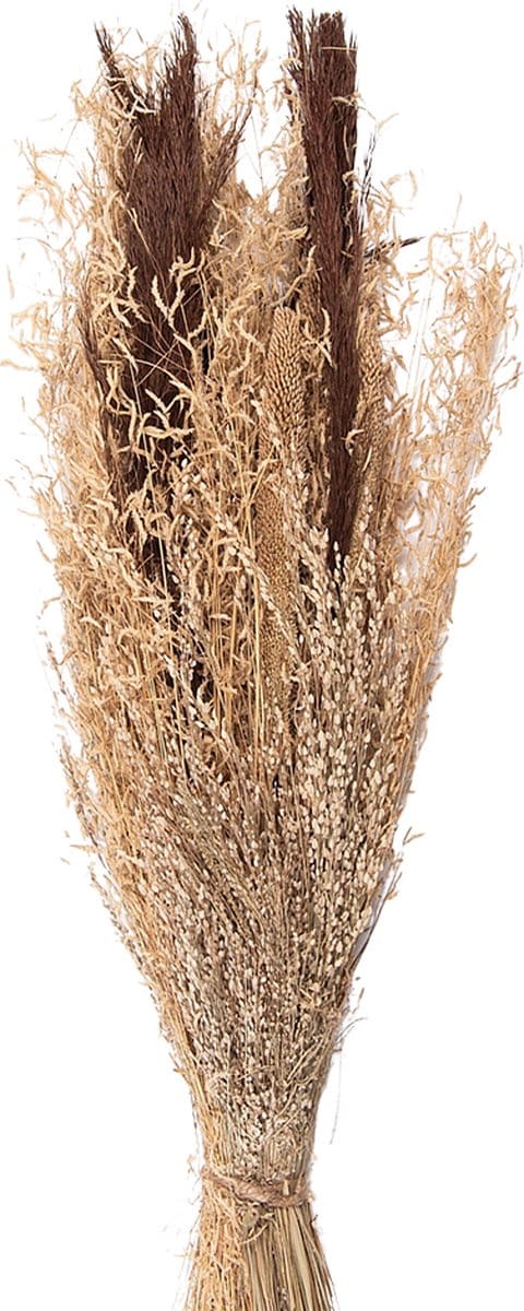 Clayre & Eef Droogbloemen 60 cm Bruin Droogbloemen