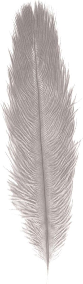 Chaks Struisvogelveer/sierveer - licht grijs - 55-60 cm - decoratie/hobbymateriaal