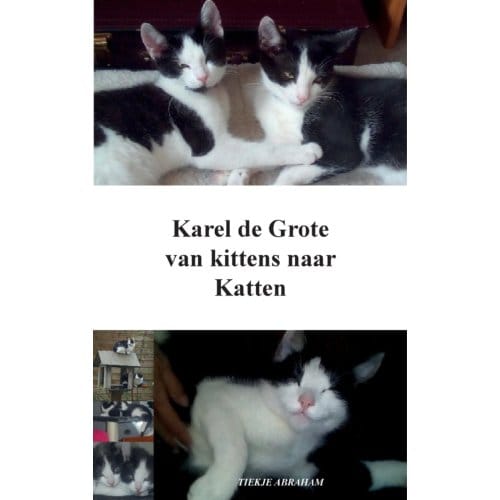 Karel De Grote - Tiekje Abraham