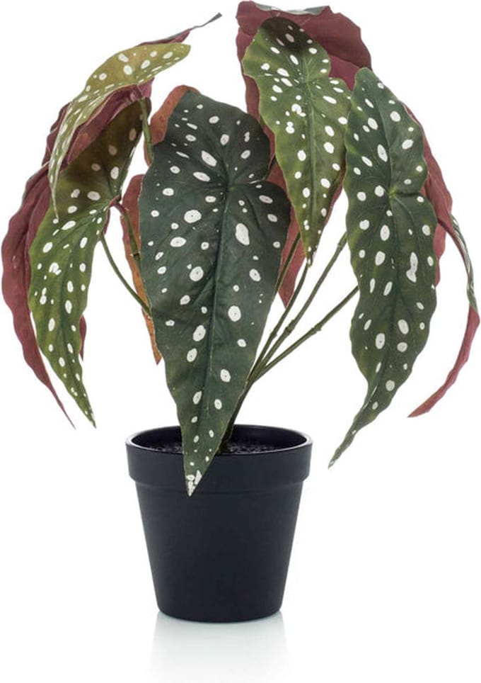 Emerald - Kunstplant in pot Begonia Maculata 33cm - Kunstplant voor binnen