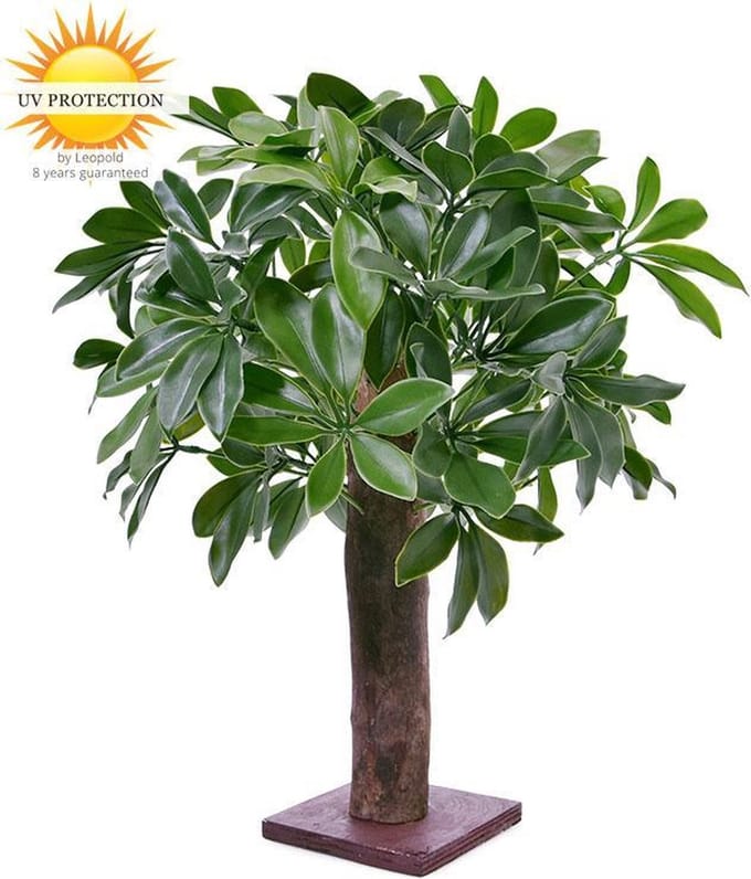 Schefflera kunstplant op ministam 50 UV