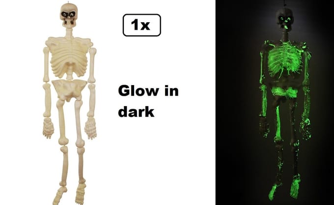Skellet 150 cm
