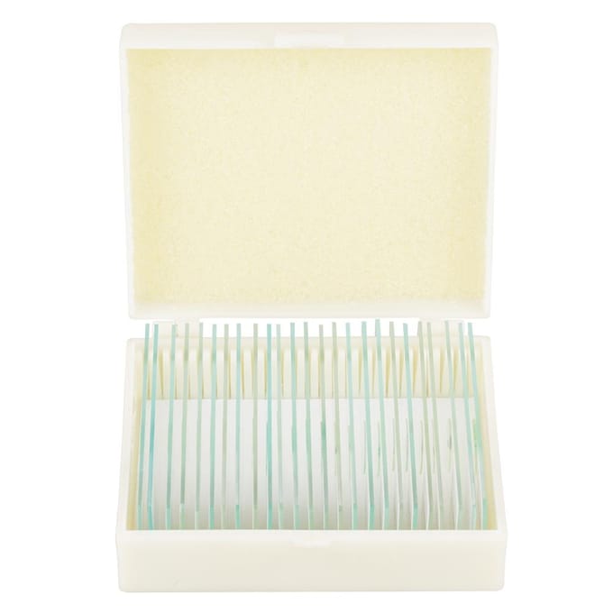 25 stuks Biologie Glas Geprepareerde Microscoopplaatjes Lab Specimens Met Doos beige