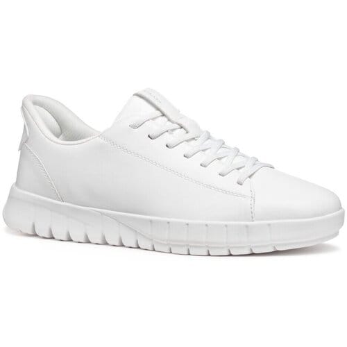 Lage Sneakers Geox -
