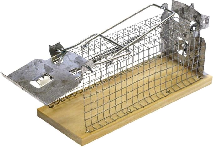 Swissinno Mouse Classic Niet dodelijke val 1 stuk(s)