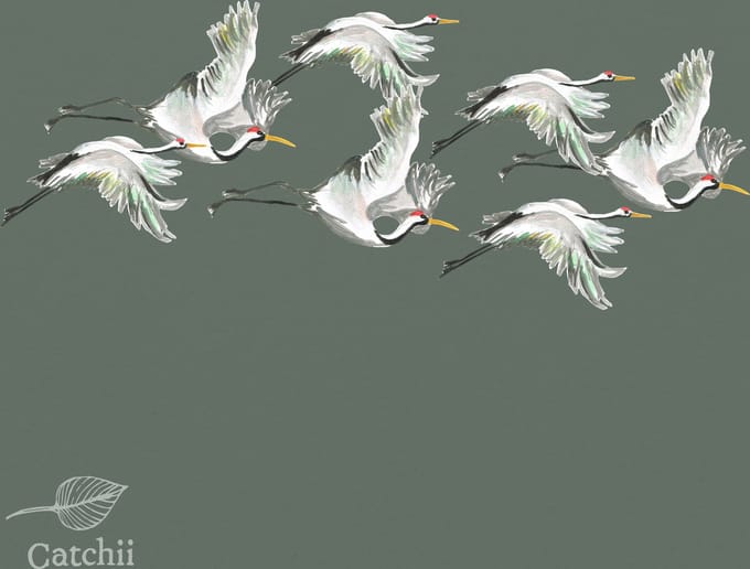 Behang staal Flying Cranes groen