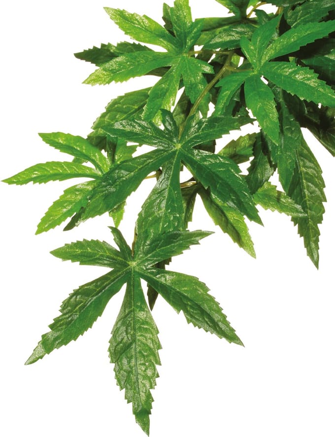 Exo Terra - Kunstplanten - Reptielen - Abutilon M - 17,5x3x60,5cm - 1st
