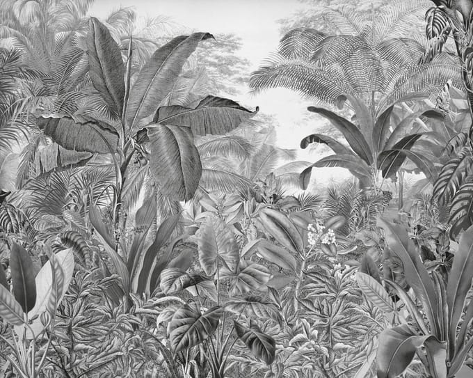Fotobehang - Roraima 350x280cm - Vliesbehang