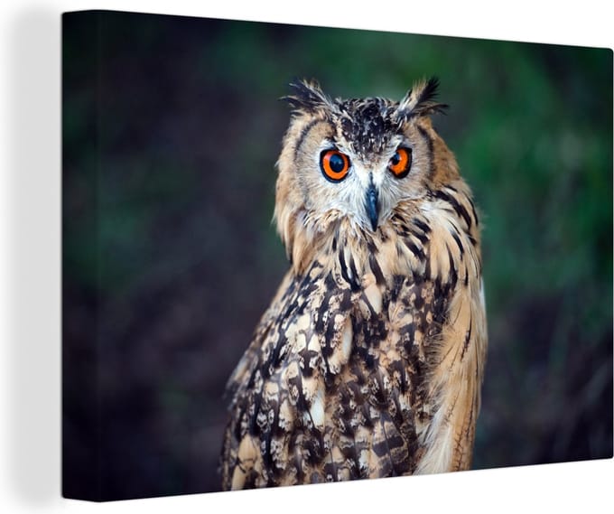 Canvas Schilderij Oehoe uil - 30x20 cm - Wanddecoratie