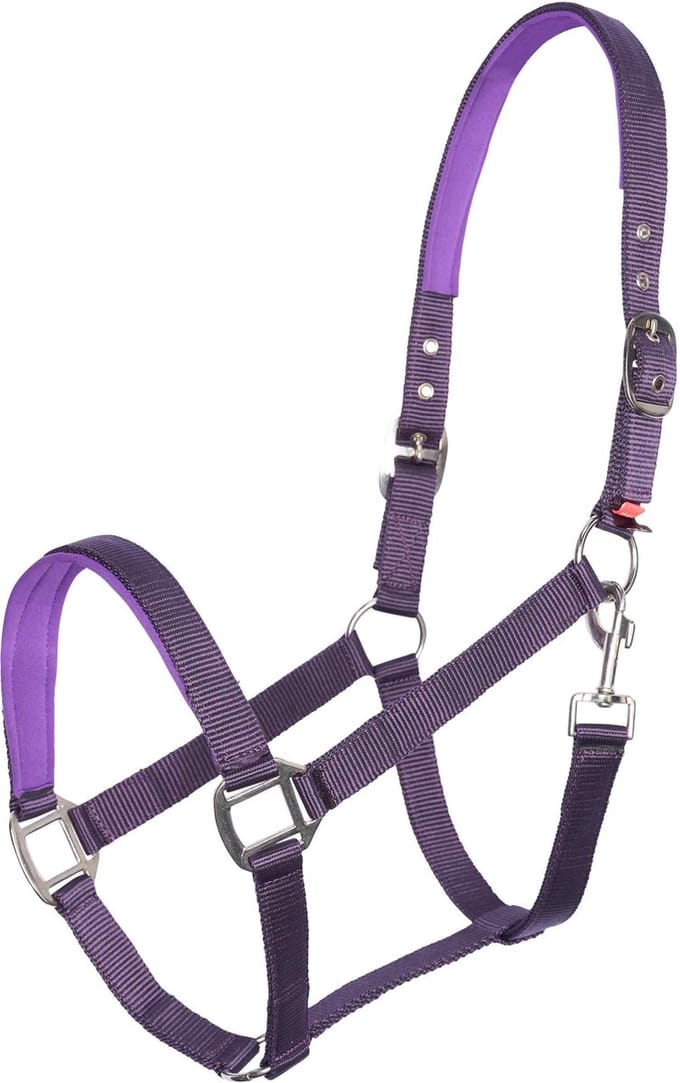Imperial Riding - Halster - Classic Sport - Black Berry - Maat Veulen