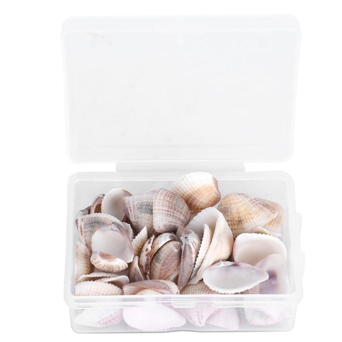 DIY Knutselen Natuurlijke Schelp Sieraden Maken Strandfeest Bruiloft Zeeschelpen Decoraties white
