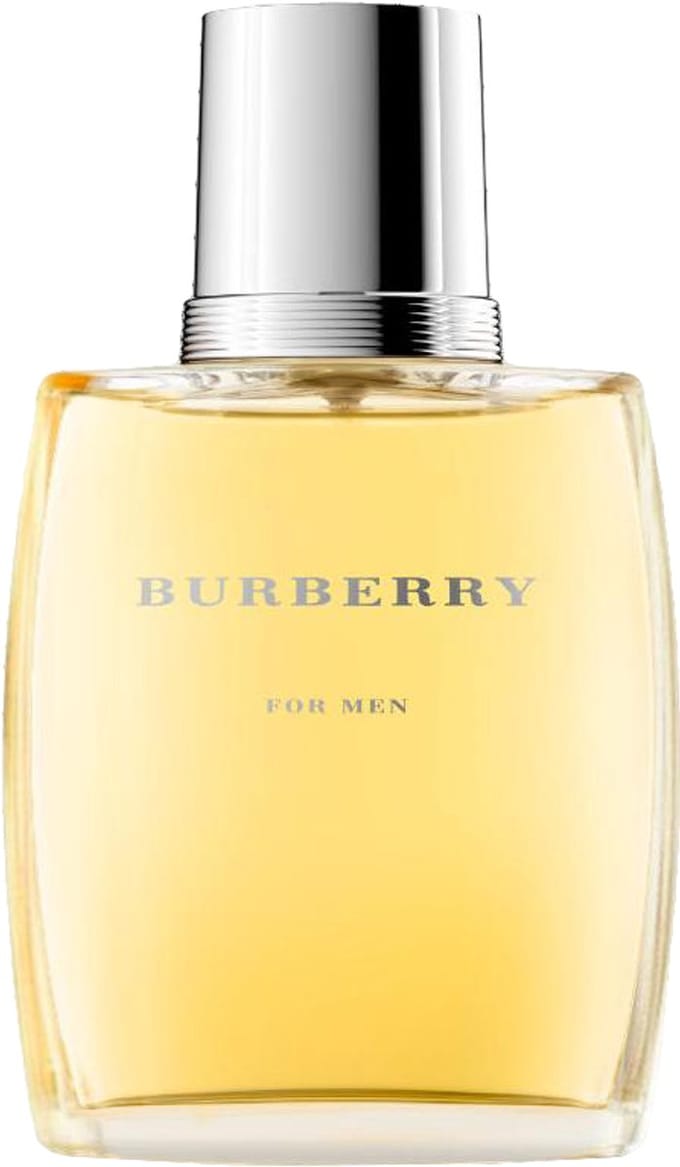 Burberry for Men - 100 ml - eau de toilette spray - herenparfum