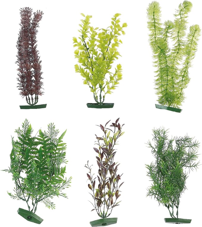 Flamingo - Aquarium plant assortiment - Willekeurig - 30 cm