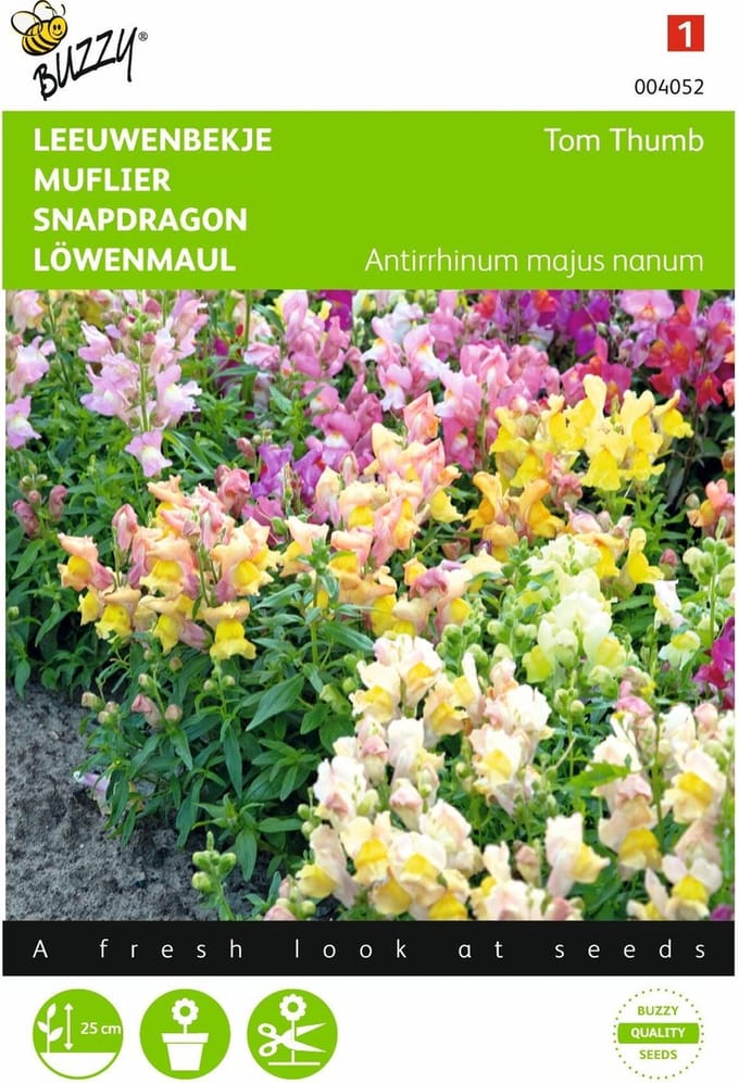 2 stuks Antirrhinum, Leeuwenbekje Tom Thumb gemengd